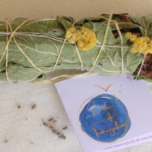 Bâton de Fumigation Abondance et Joie de Vivre