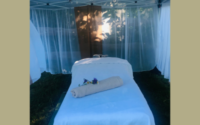 Massage au cœur du vivant – Offre de lancement